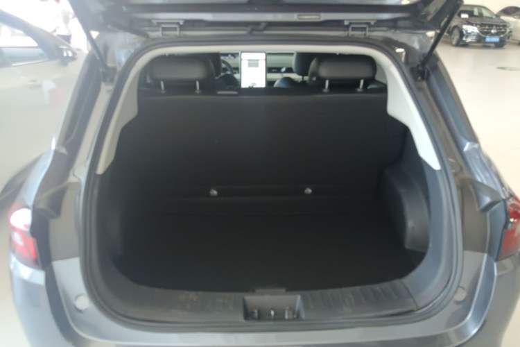 Used NETA AYA 2023 318 Lite Trunk