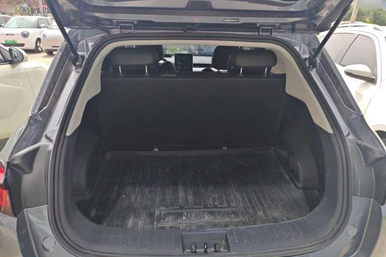 Used NETA AYA 2023 401 Lite Trunk