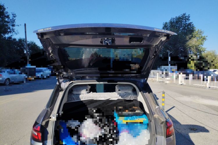 Used NETA AYA 2023 318 Lite Trunk