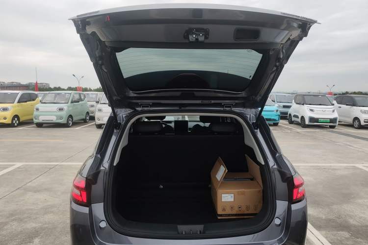 Used NETA AYA 2023 401 Lite Trunk