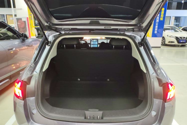Used NETA AYA 2023 318 Lite Trunk
