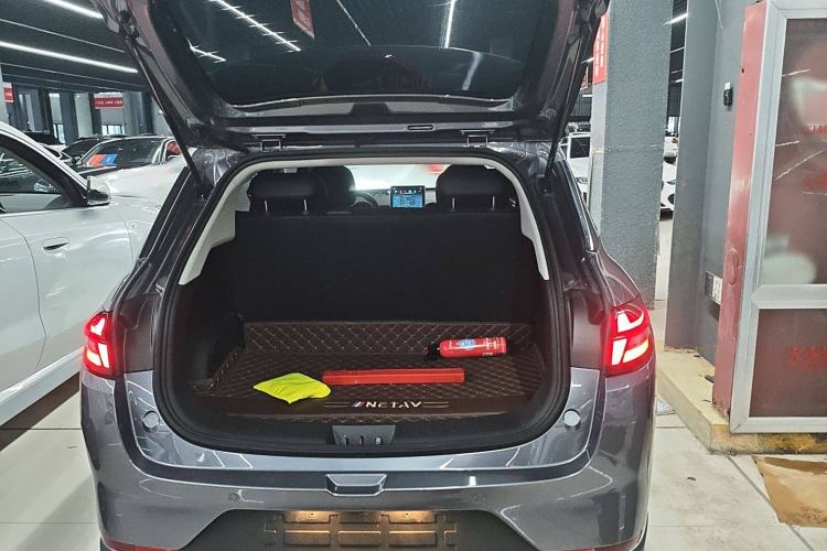 Used NETA AYA 2023 318 Lite Trunk
