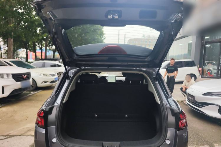 Used NETA AYA 2023 318 Lite Trunk