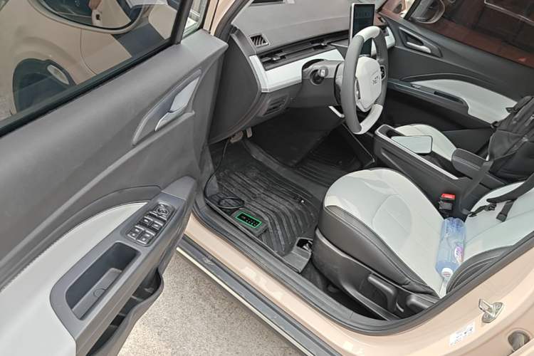 Used NETA AYA 2023 401 Lite Driver Seat