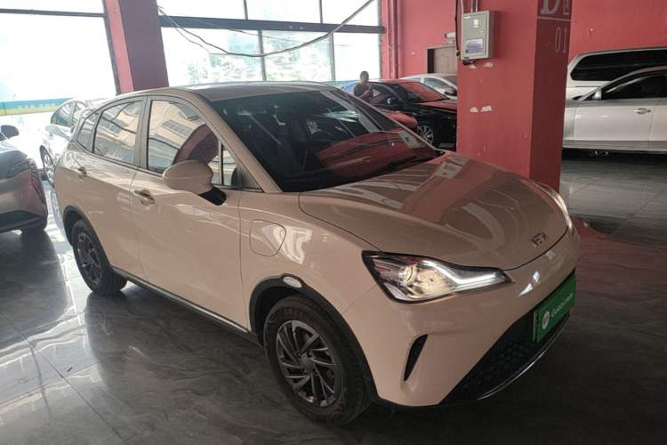 Used NETA AYA 2023 318 Lite Exterior 1