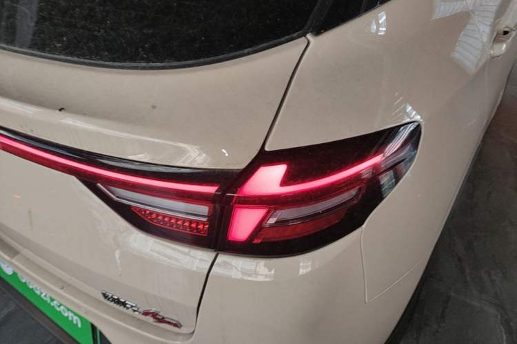 Used NETA AYA 2023 318 Lite Exterior 3
