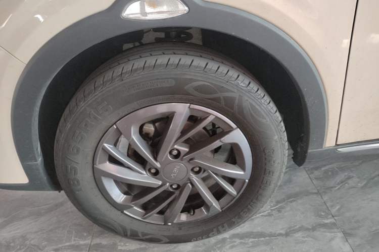 Used NETA AYA 2023 318 Lite Exterior 4
