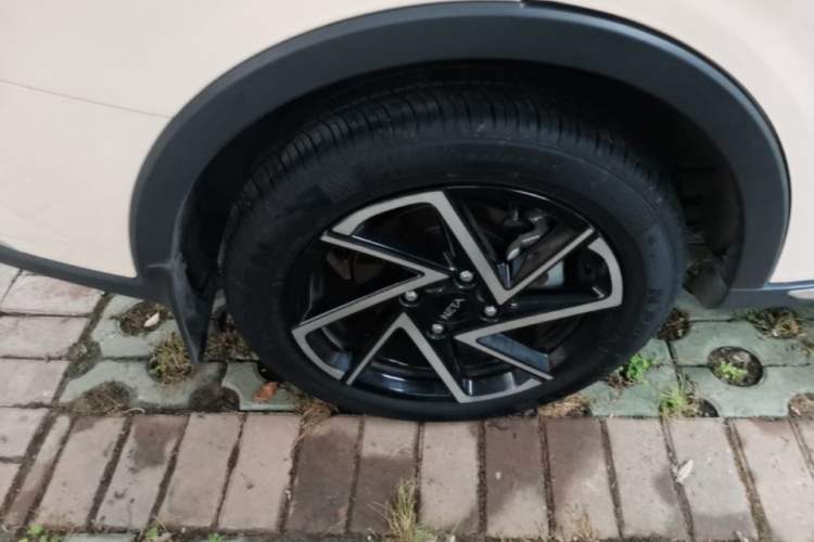 Used NETA AYA 2023 401 Lite Exterior 5