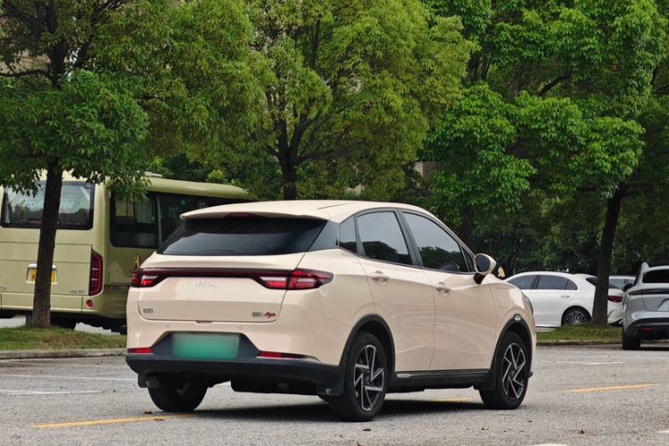 Used NETA AYA 2023 401 Lite Exterior 5