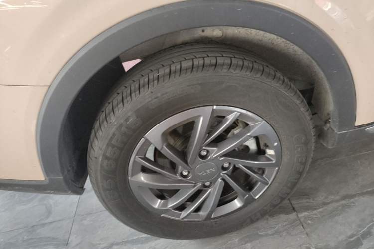 Used NETA AYA 2023 318 Lite Exterior 5