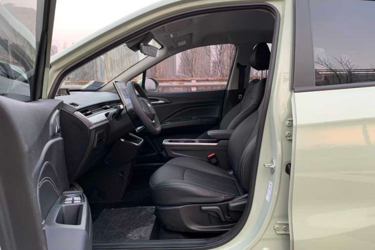 Used NETA AYA 2023 401 Lite Interior 1