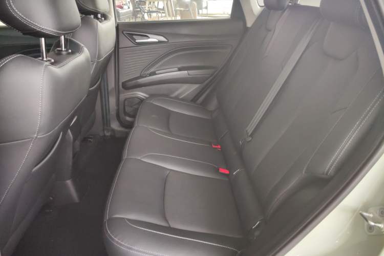 Used NETA AYA 2023 401 Lite Interior 4