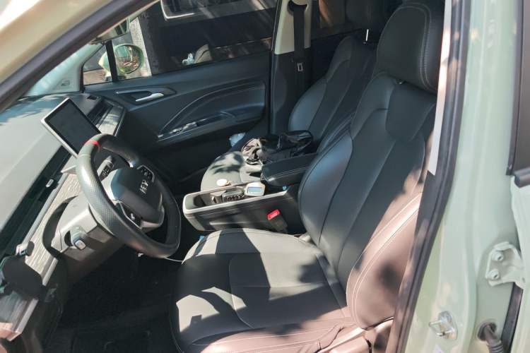 Used NETA AYA 2023 401 Lite Left Front Seat