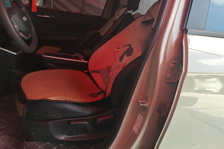 Used NETA AYA 2023 318 Left Front Seat