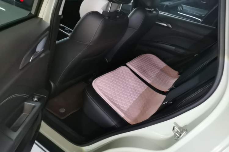 Used NETA AYA 2023 401 Lite Left Rear Seat