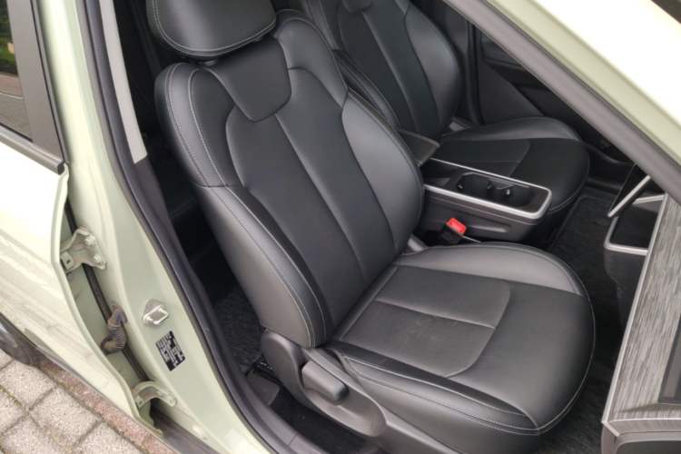 Used NETA AYA 2023 318 Right Front Seat