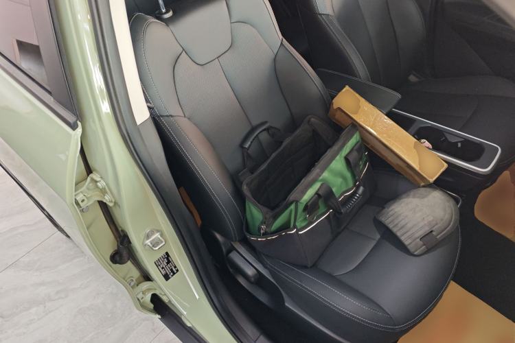 Used NETA AYA 2023 401 Lite Right Front Seat