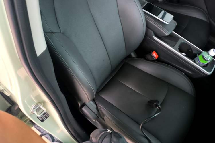 Used NETA AYA 2023 318 Lite Right Front Seat