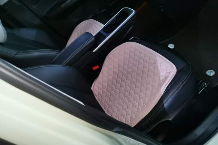 Used NETA AYA 2023 401 Lite Right Front Seat
