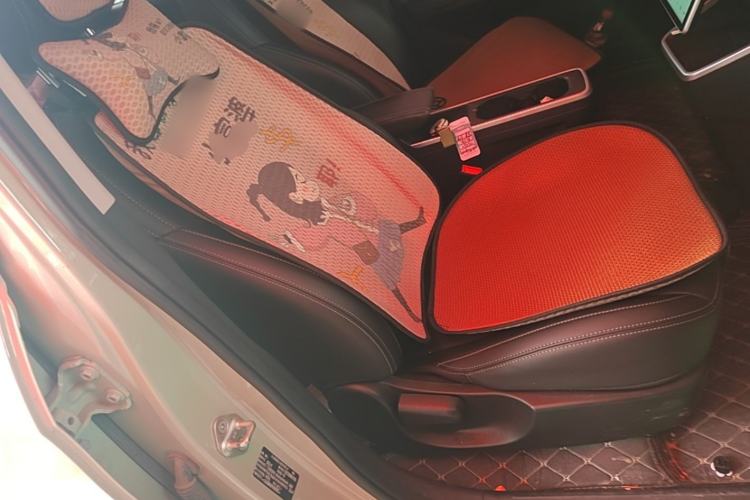 Used NETA AYA 2023 318 Right Front Seat