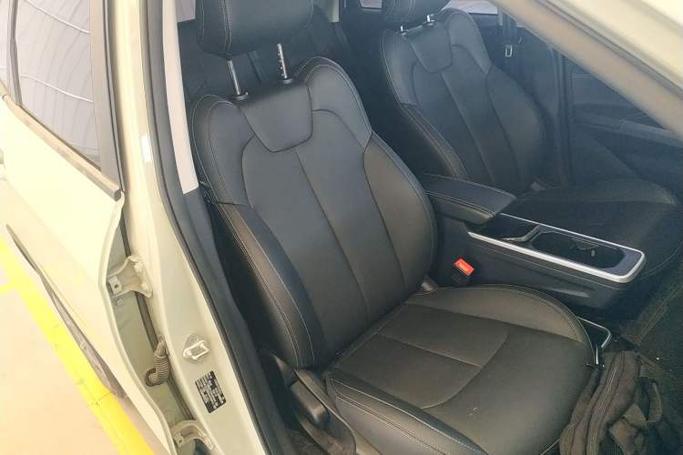 Used NETA AYA 2023 318 Lite Right Front Seat