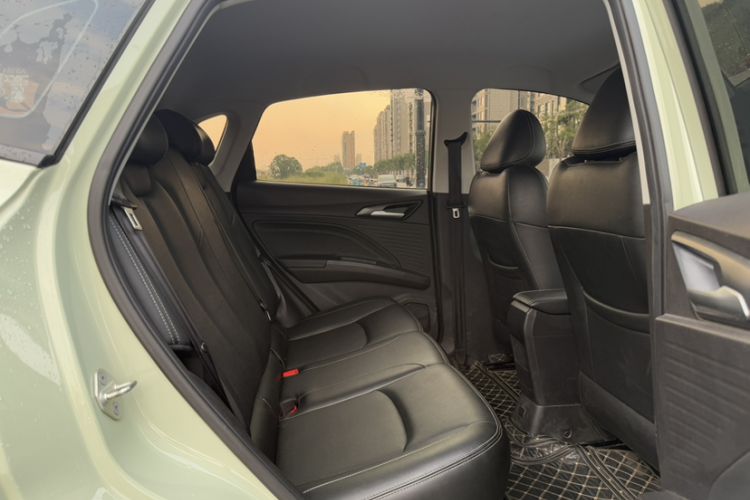 Used NETA AYA 2023 401 Lite Roof