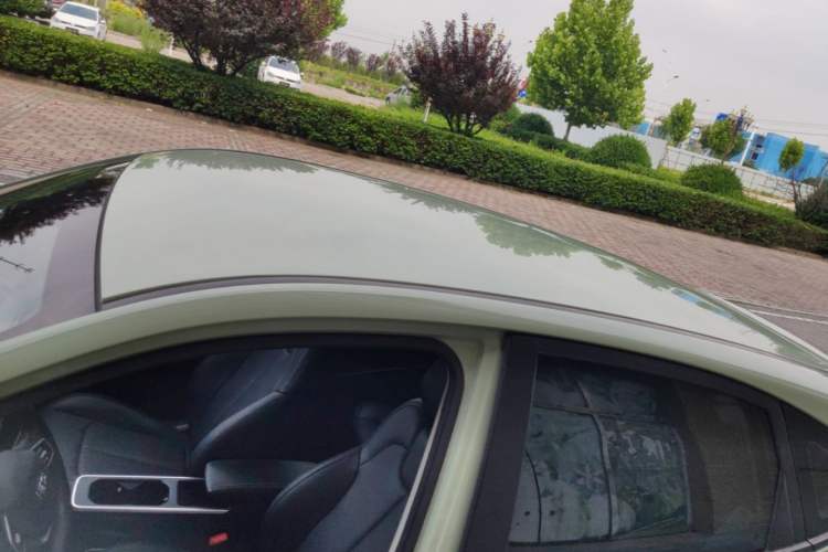 Used NETA AYA 2023 318 Roof