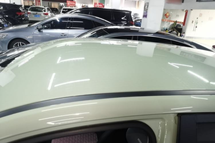 Used NETA AYA 2023 401 Lite Roof