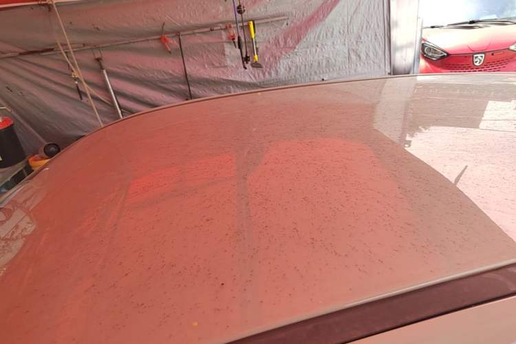 Used NETA AYA 2023 318 Roof