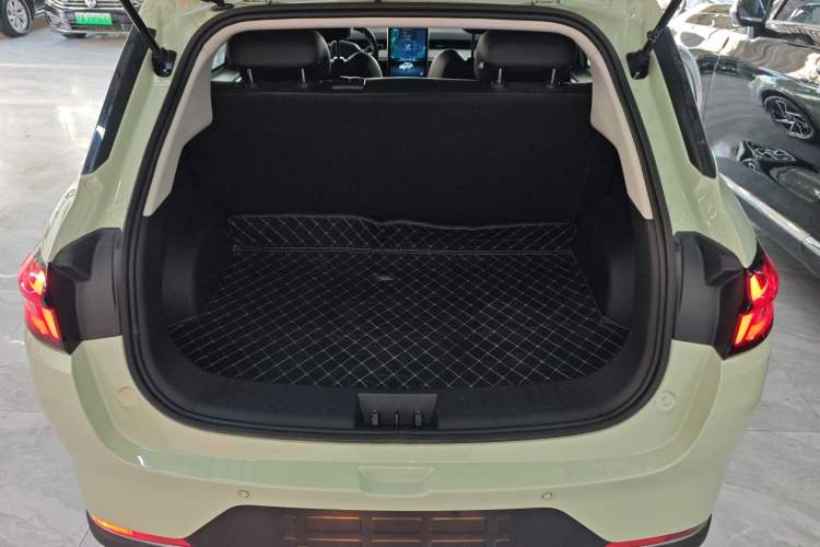 Used NETA AYA 2023 401 Lite Trunk