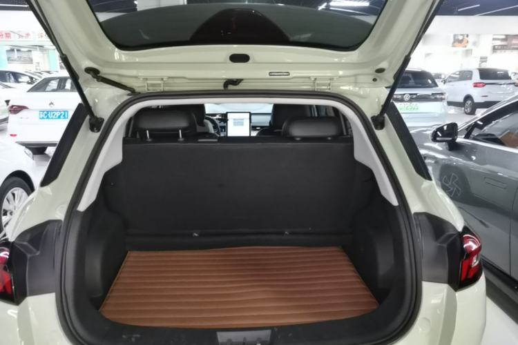 Used NETA AYA 2023 401 Lite Trunk