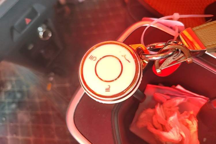 Used NETA AYA 2023 318 Vehicle Key