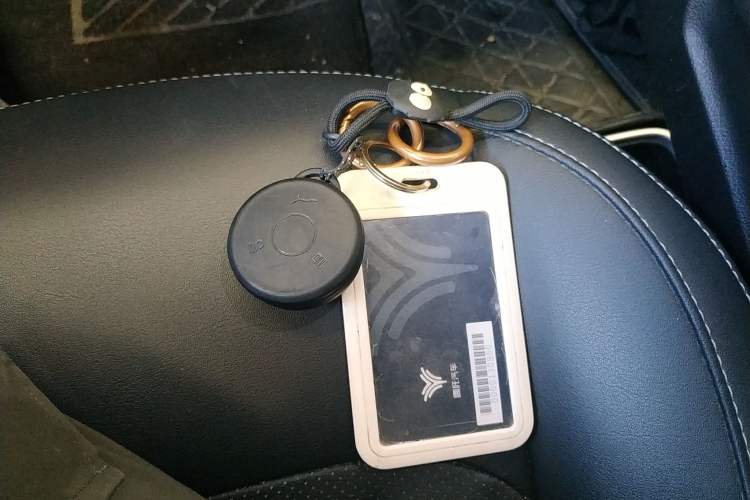 Used NETA AYA 2023 318 Lite Vehicle Key