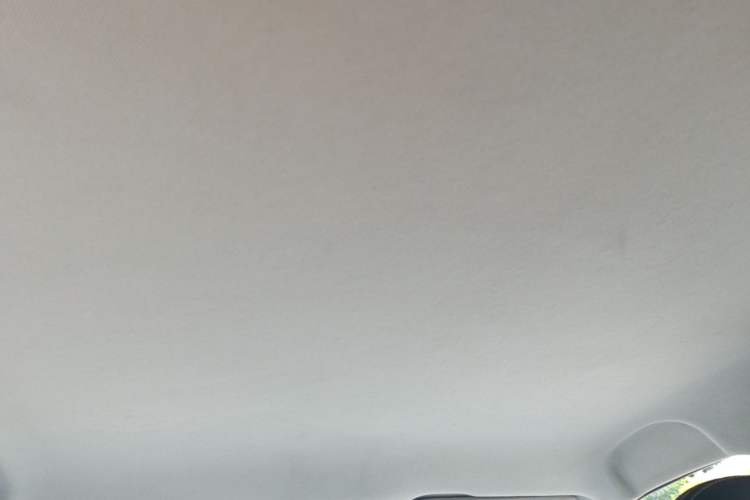 Used NETA AYA 2023 401 Headliner
