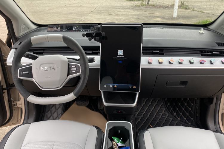 Used NETA AYA 2023 318 Lite Interior 2