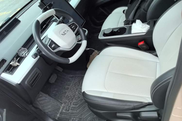 Used NETA AYA 2023 Revised Version 401 Lite Left Front Seat