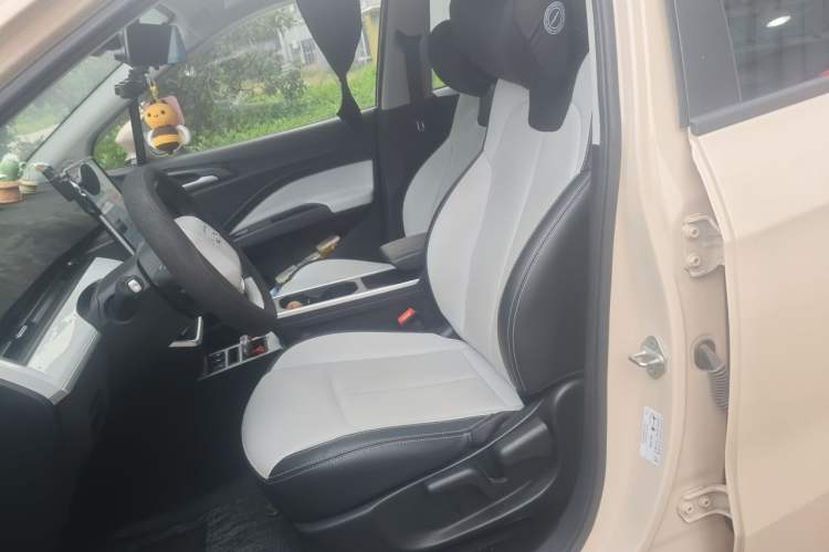 Used NETA AYA 2023 401 Lite Left Front Seat