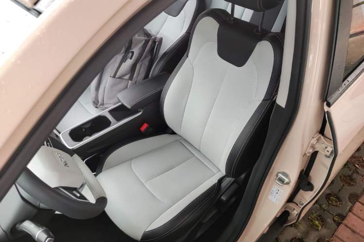 Used NETA AYA 2023 401 Lite Left Front Seat