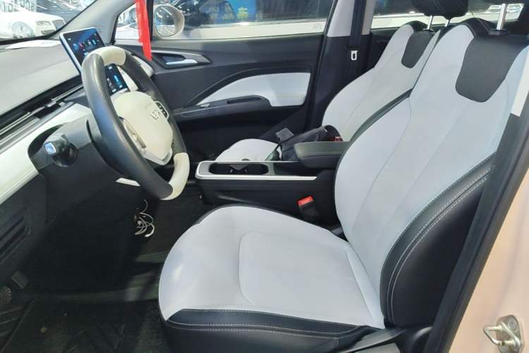 Used NETA AYA 2023 Revised Version 401 Lite Left Front Seat