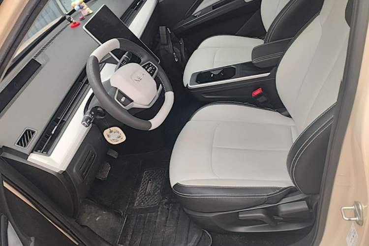 Used NETA AYA 2023 401 Lite Left Front Seat