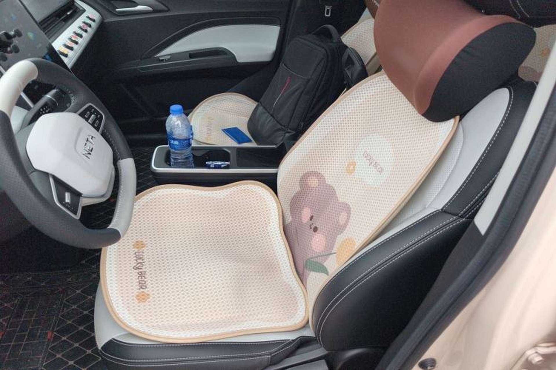 Used NETA AYA 2023 318 Lite Left Front Seat