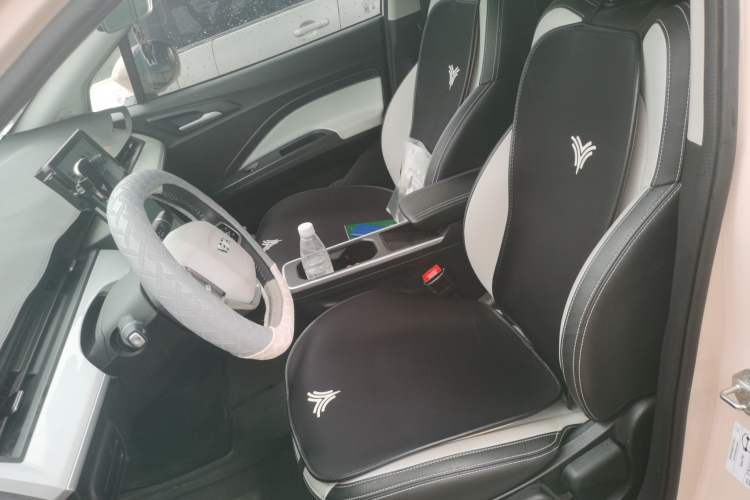 Used NETA AYA 2023 318 Lite Left Front Seat