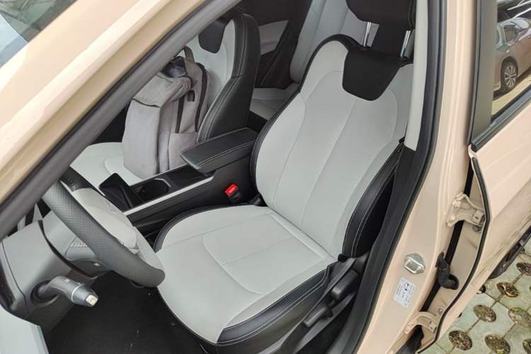 Used NETA AYA 2023 401 Lite Left Front Seat