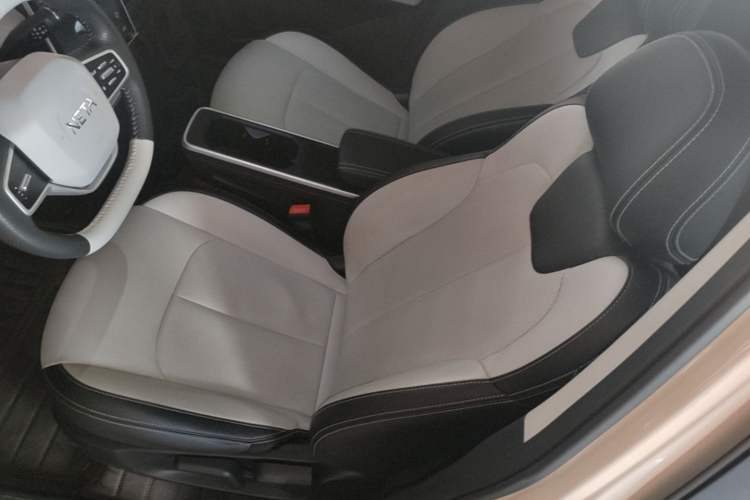 Used NETA AYA 2023 318 Lite Left Front Seat