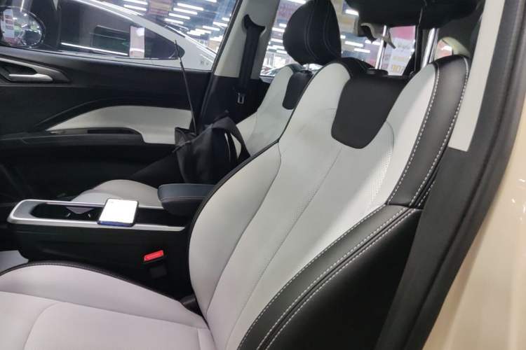 Used NETA AYA 2023 401 Lite Left Front Seat