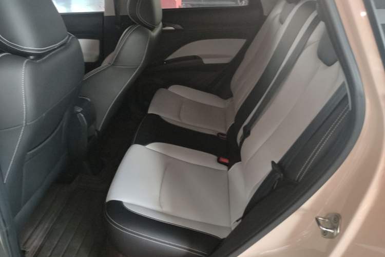 Used NETA AYA 2023 318 Lite Left Rear Seat