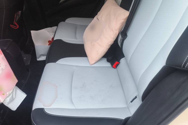 Used NETA AYA 2023 401 Lite Left Rear Seat