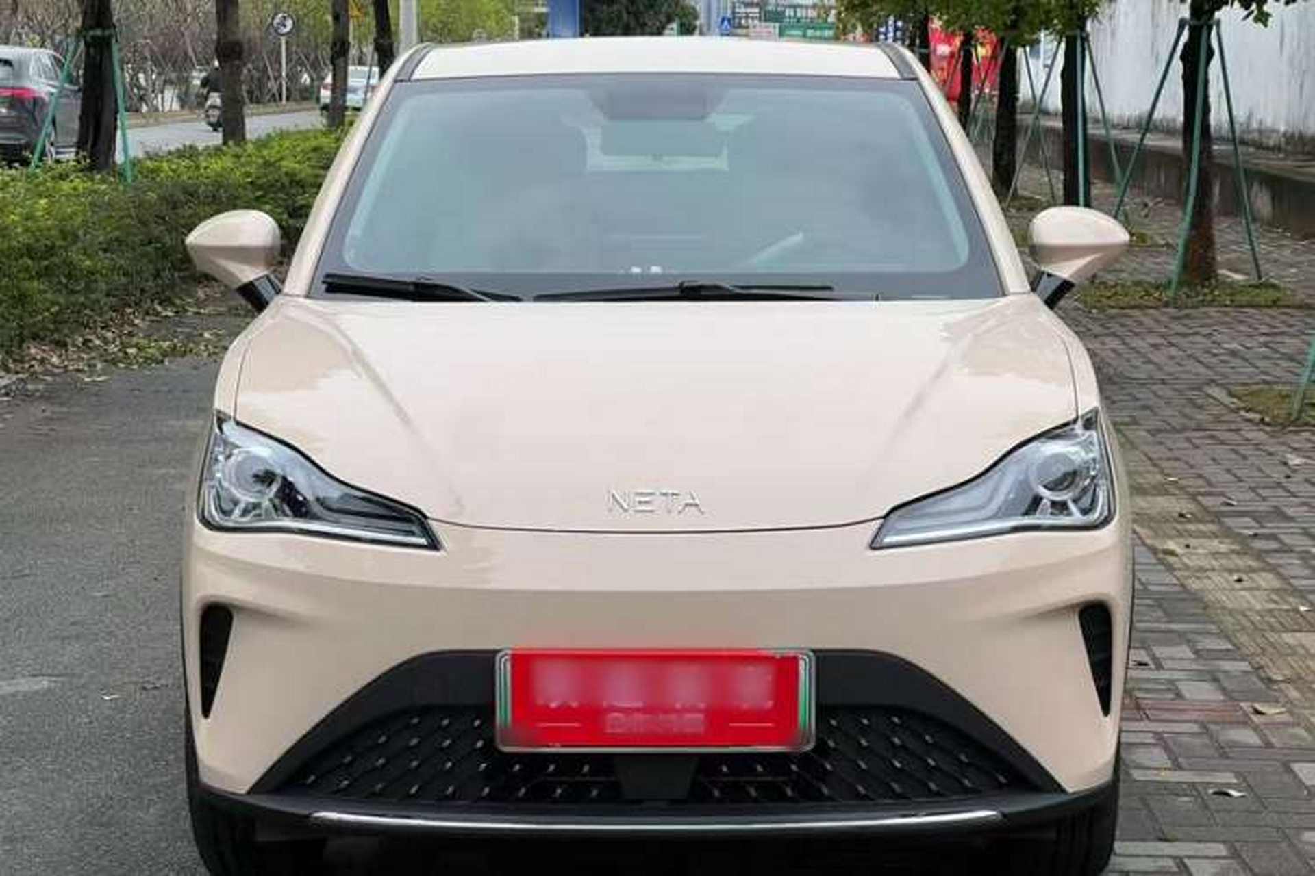 Used NETA AYA 2023 318 Lite Exterior 1