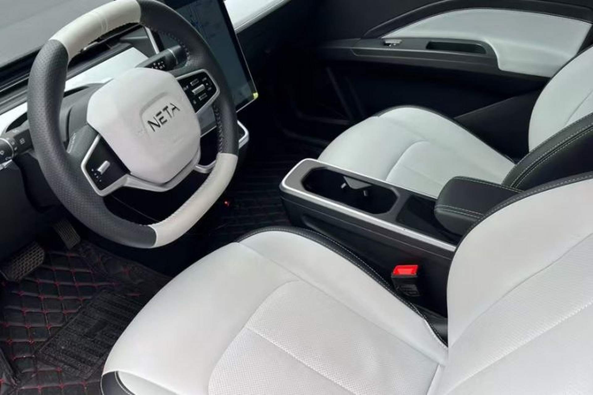 Used NETA AYA 2023 318 Lite Exterior 5