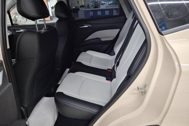 Used NETA AYA 2023 Revised Version 401 Lite Interior 3